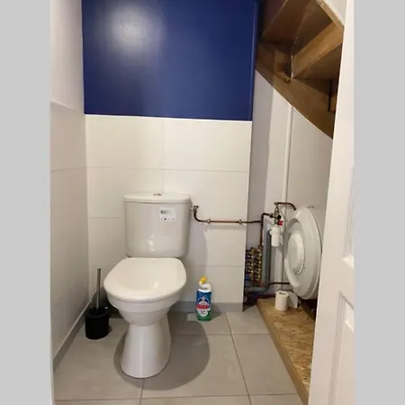 Logement T3 / Centre Du Tarn דירה Réalmont